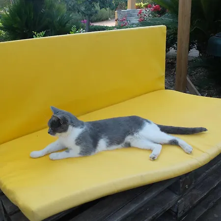 A Casa Di Anna Ferienhaus *